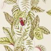 Calathea 216631